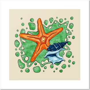 Bright star fish and shell, summer beach Posters and Art